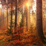 Hello World Featured Image