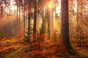 Hello World Featured Image