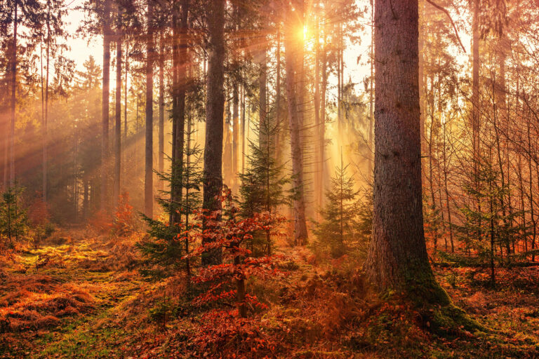 Hello World Featured Image